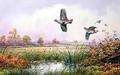 [Partridge in Flight]