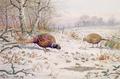 [Pheasant and Partridge Eating]
