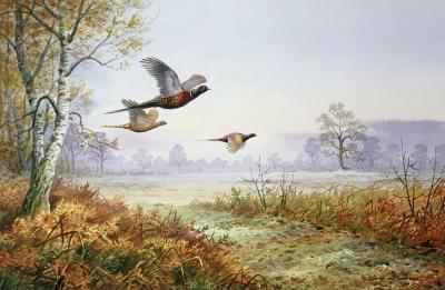 [Donner - Pheasants in Flight] 