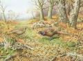 [Pheasants with Blue Tits]