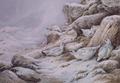 [Ptarmigan in Snow Covered Landscape]