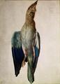 [Blue Crow]