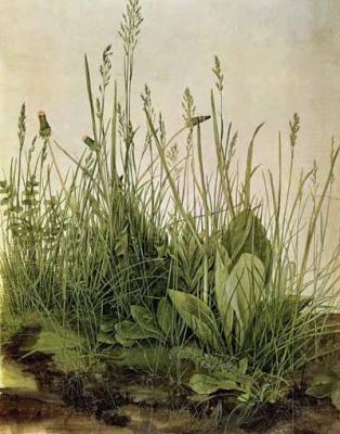 [Durer - Great Piece of Turf] 