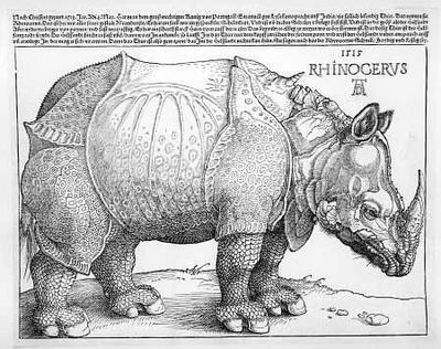 [Durer - The Rhinoceros] 
