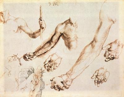[Durer - Study of Male Hands and Arms] 