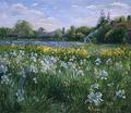 [Bonfire and Iris Field]