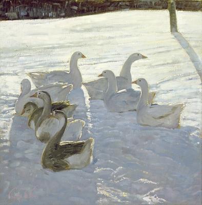 [Easton - Geese Against the Light] 
