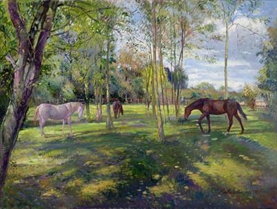 [Easton - In the Rectory Paddock] 