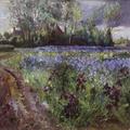 [Iris Field, Storm Gathering]
