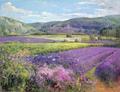 [Lavender Fields in Old Provence]