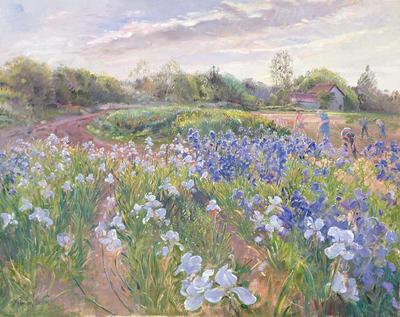 [Easton - Sunsparkle on Irises] 