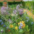 [Sweet Rocket, Foxgloves and Irises]