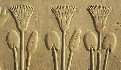 [Egyptian School - Lotos] 