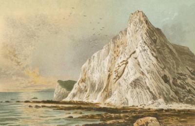 [English School - Isle of Wight, Culver Cliff] 