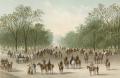 [The Row, Hyde Park, London]