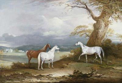 [Ferneley - Lord Macdonald's Mares on the Grounds of Thorpe Hall] 