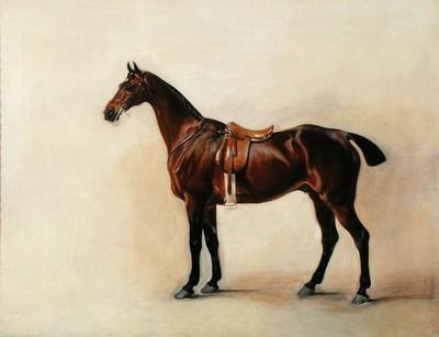 [Ferneley - Study of a Saddled Bay Hunter] 
