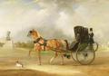 [William Massey-Stanley Driving his Cabriolet in Hyde Park]