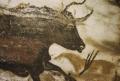 [Lascaux Caves, Great Black Bull]