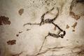 [Lascaux Caves, Head of Bull]