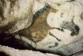 [Lascaux Caves, Horse]