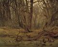 [Forest in Late Autumn]