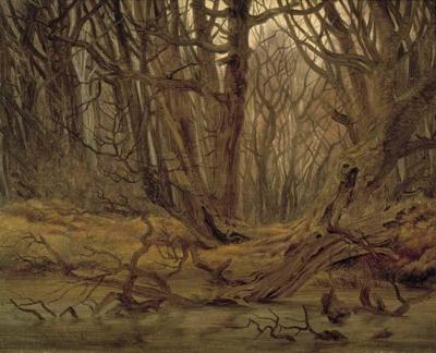 [Friedrich - Forest in Late Autumn] 