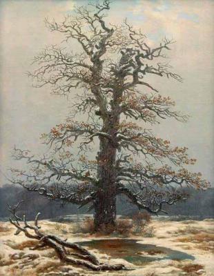 [Friedrich - Oak Tree in the Snow] 