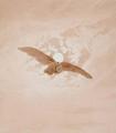[Owl Flying against a Moonlit Sky]