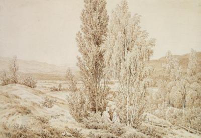 [Friedrich - Summer] 