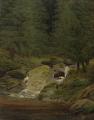 [Waterfall in the Fir Wood]