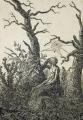 [The Woman with a Spider's Web in the middle of Leafless Trees]