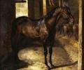 [Anglo-Arabian Stallion In The Imperial Stables At Versailles]