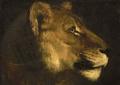[Head of a Lioness]