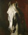 [Head of a White Horse]
