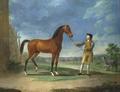 [An Arab Stallion Held by a Groom]