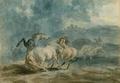 [Horses Fighting]