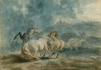 [Gilpin - Horses Fighting] 
