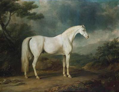 [Gilpin - White Horse in a Wooded Landscape] 