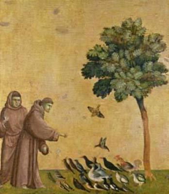 [Giotto - St. Francis of Assisi Preaching to the Birds] 
