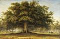 [The Beggars Oak]