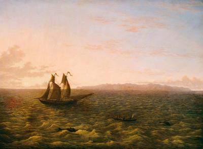 [Glover - The Island of Madeira] 
