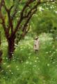 [The Orchard]