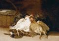 [Still Life with Dead Chickens]