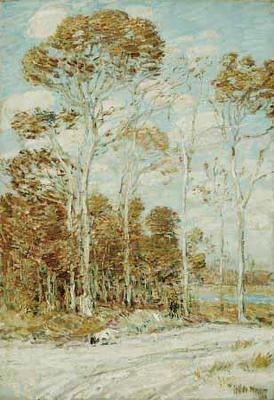 [Hassam - The Hawk's Nest] 
