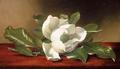 [Magnolia]