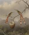 [Two Hummingbirds with Their Young]