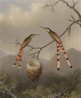 [Heade - Two Hummingbirds with Their Young] 