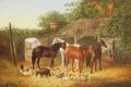 [Farmyard Companions]
