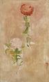 [Zynien, Study]